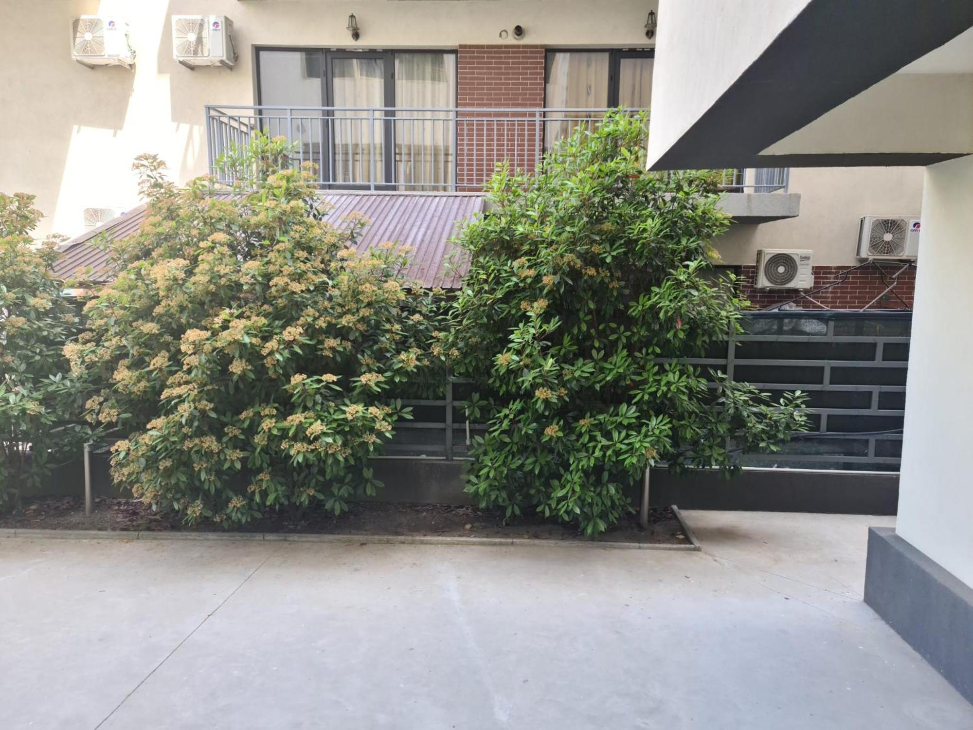 Apartament Deea Năvodari 외부 사진